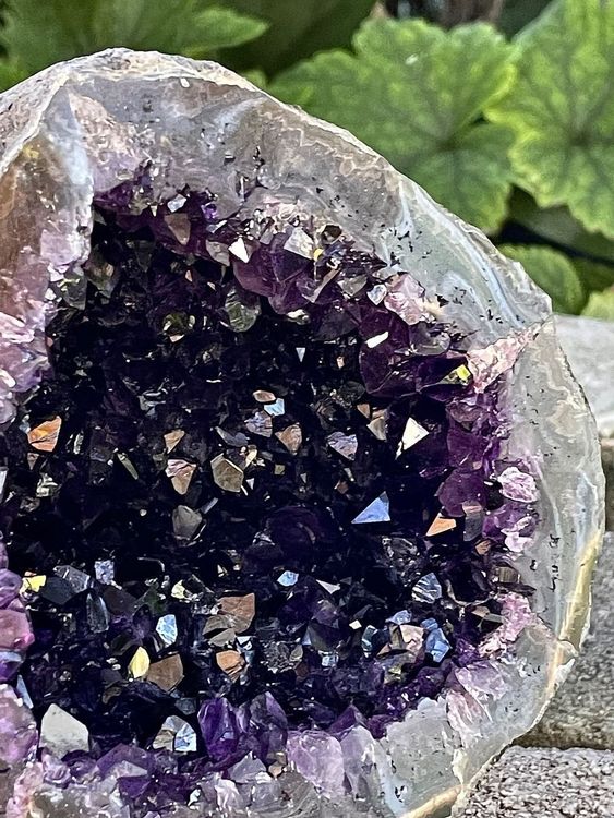 AAA Amethyst Druse Uruguay über 2,1 Kg 5