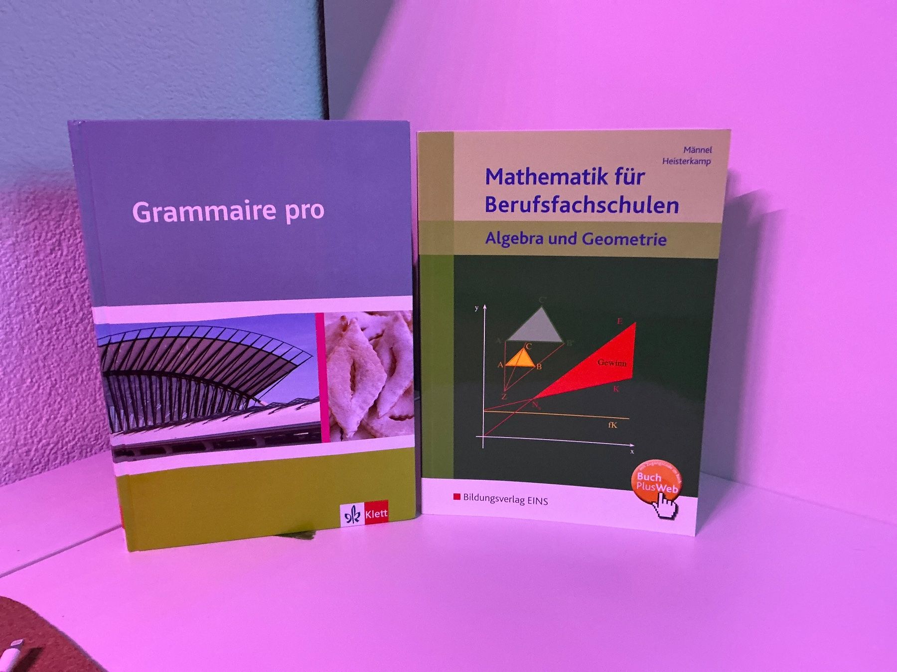 Libri: Lernbücher – Usato da Villmergen venduto da vka_vs6l