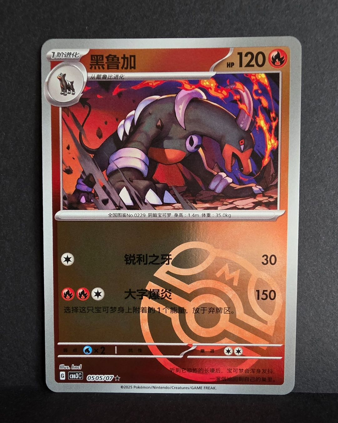 Pokémon Carte collezionabili: Pokémon Cbb3c Masterball 0505/07 ultra rare – Nuovo (secondo la descrizione) da Roggwil BE venduto da S_Cards 1