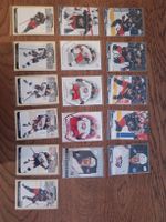 diver. Karten 16 Stk Nhl Team columbus Blue Jackets