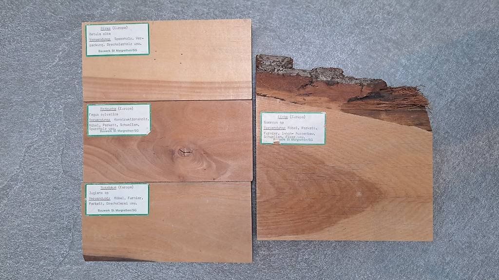 Holzartikel: Holzmuster Holzproben Set – Gebraucht aus Caslano von Welaberg 4