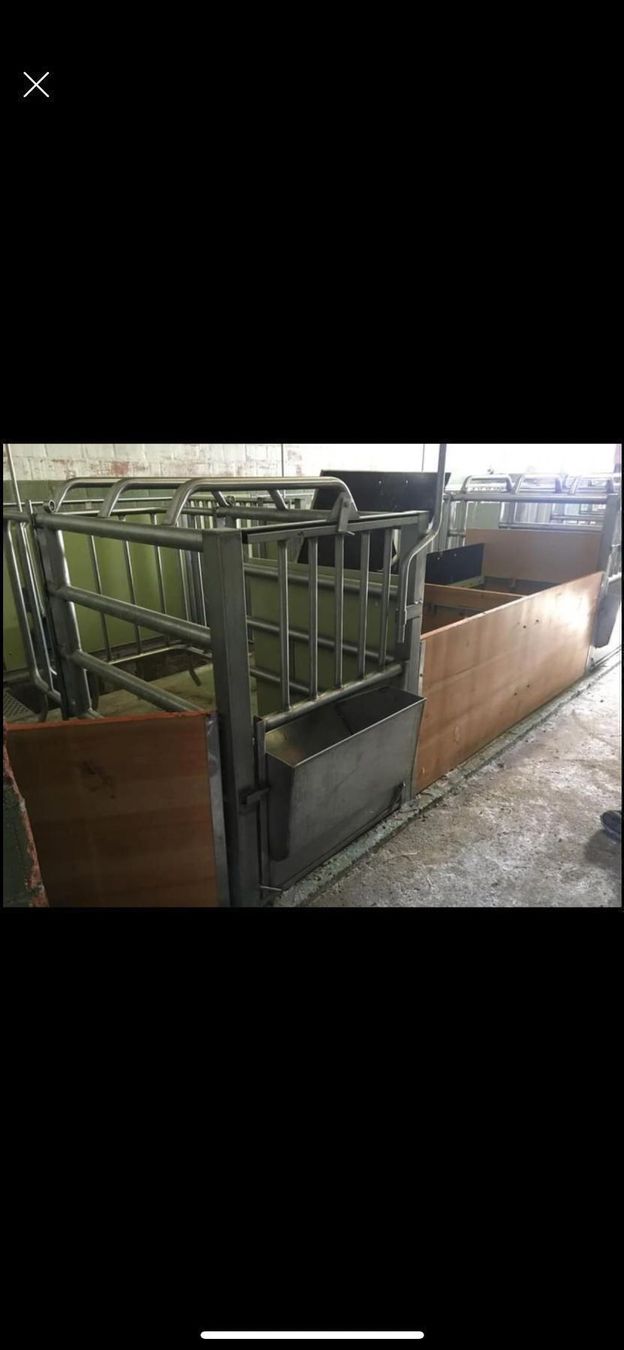 Gabbie, trasporto & Sicurezza: Abferkelbucht Demontiert – Usato da Bätterkinden venduto da rip2000 5