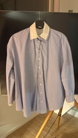 Zara Shirt, Blue/White Stripe, Contrast Collar, Size S