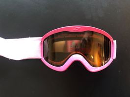 Skibrille Julbo Selbsttönend