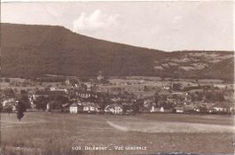 DELEMONT, vue générale