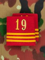 Schulterpatten Ord. 1949 Hauptmann, Abt 19, Set