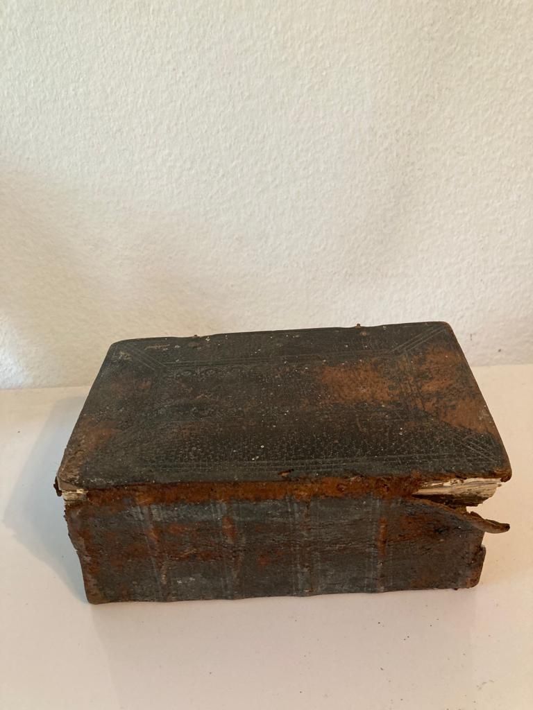 Libri: Altes Buch mit biblischen Texten – Usato da Buttikon SZ venduto da FlohmarktParadies 1