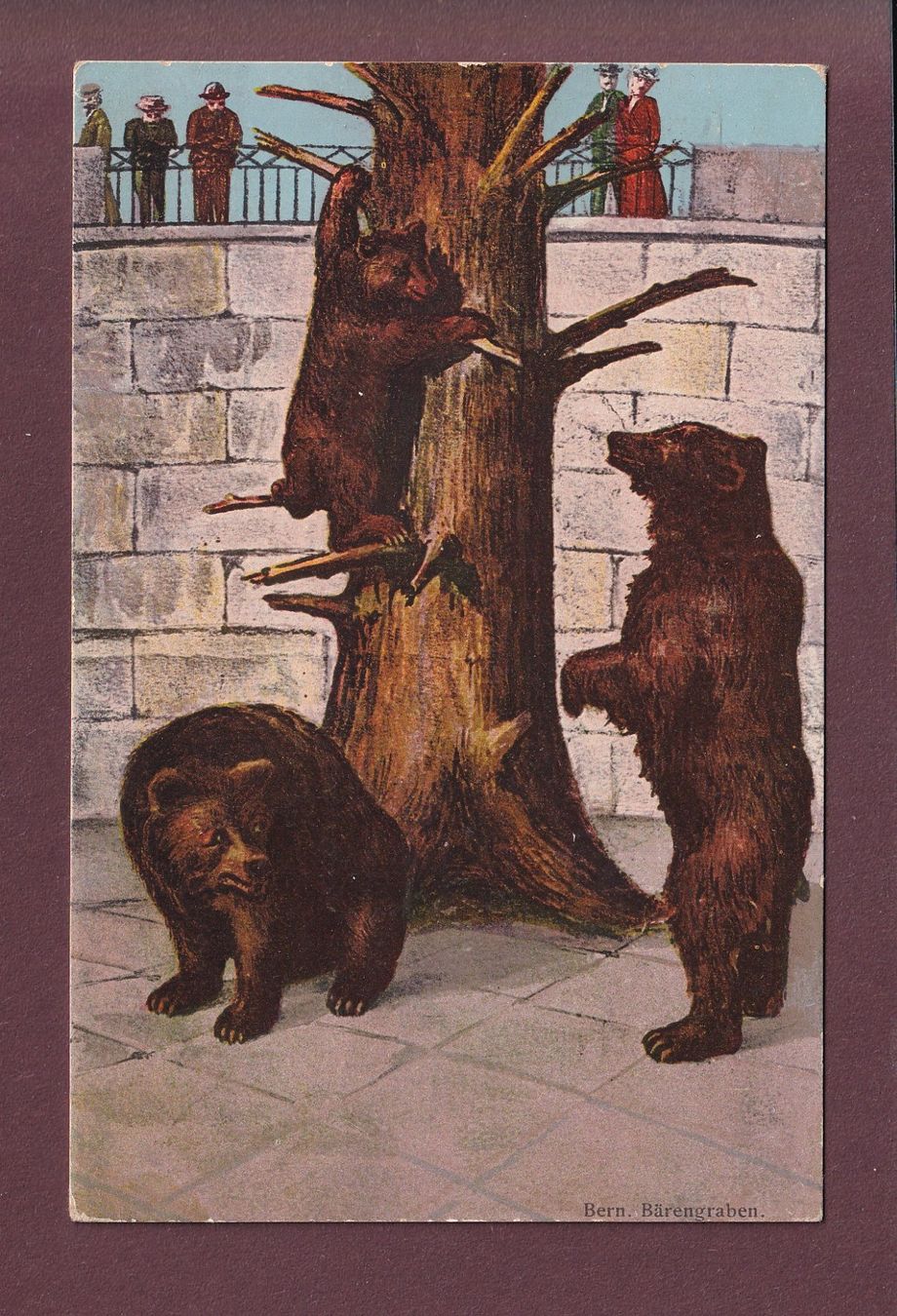 Cartoline postali: BERN - Bärengraben - 1912 – Usato da Pully venduto da nicecards
