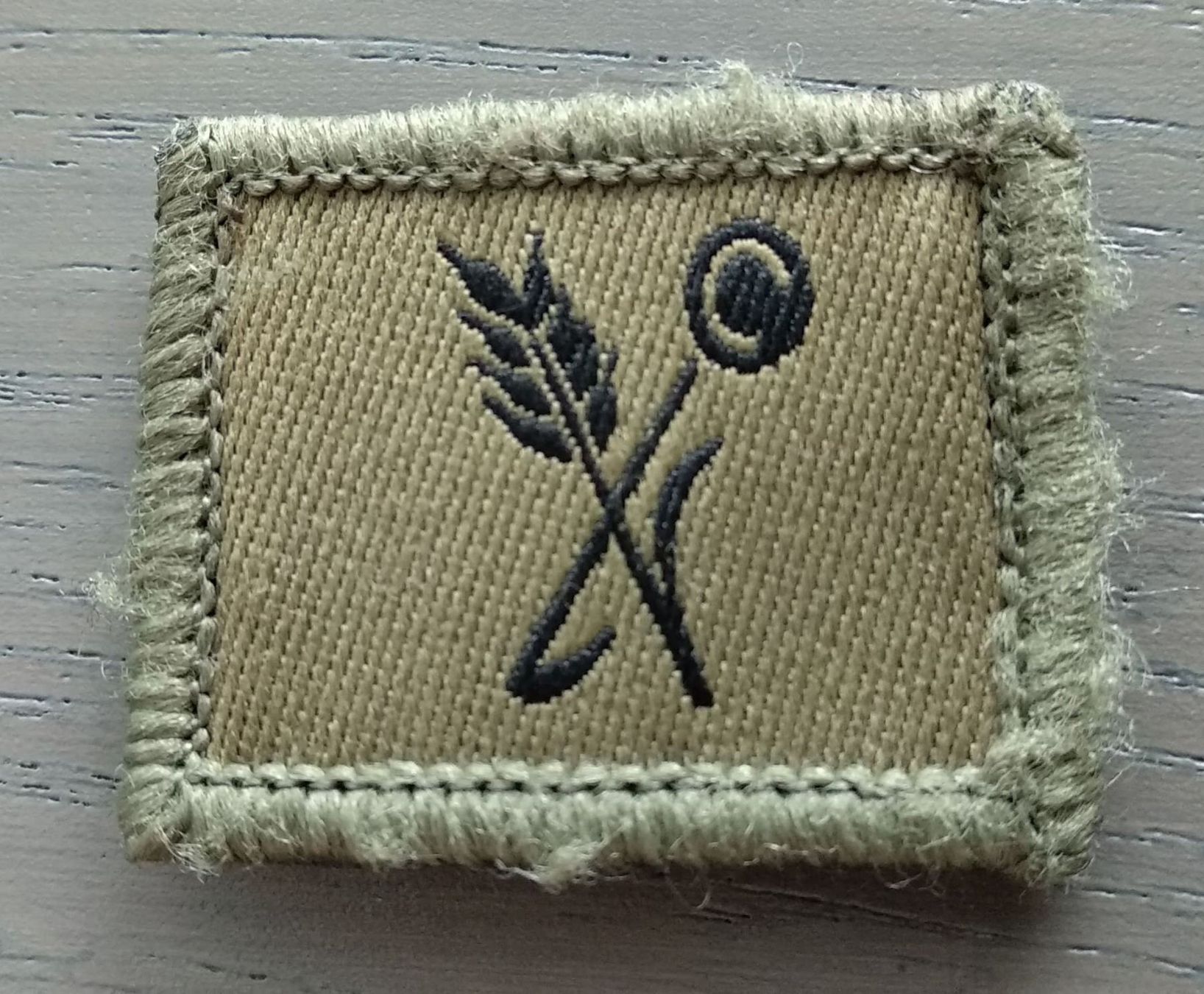 Placchette & Badge: Funktionsabzeichen Truppenkoch – Usato da Gebenstorf venduto da Elchenn
