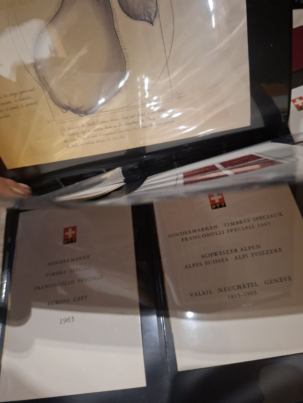Tutti i francobolli: 8 Alben FDC / Briefe  – Usato da Balgach venduto da SIMEON27 5
