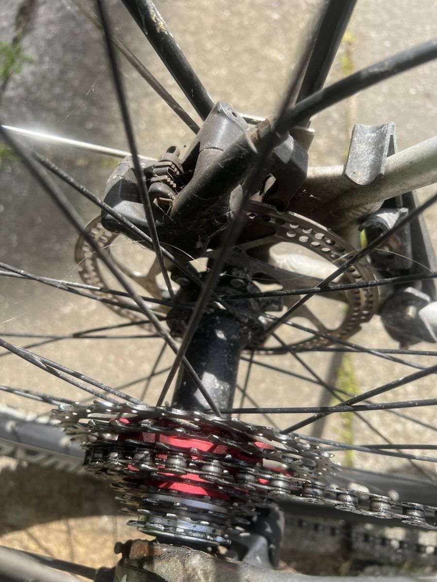 Biciclette: Herren Velo – Usato da Olten venduto da Tombik 4