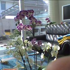 Profile image of audi_VW55