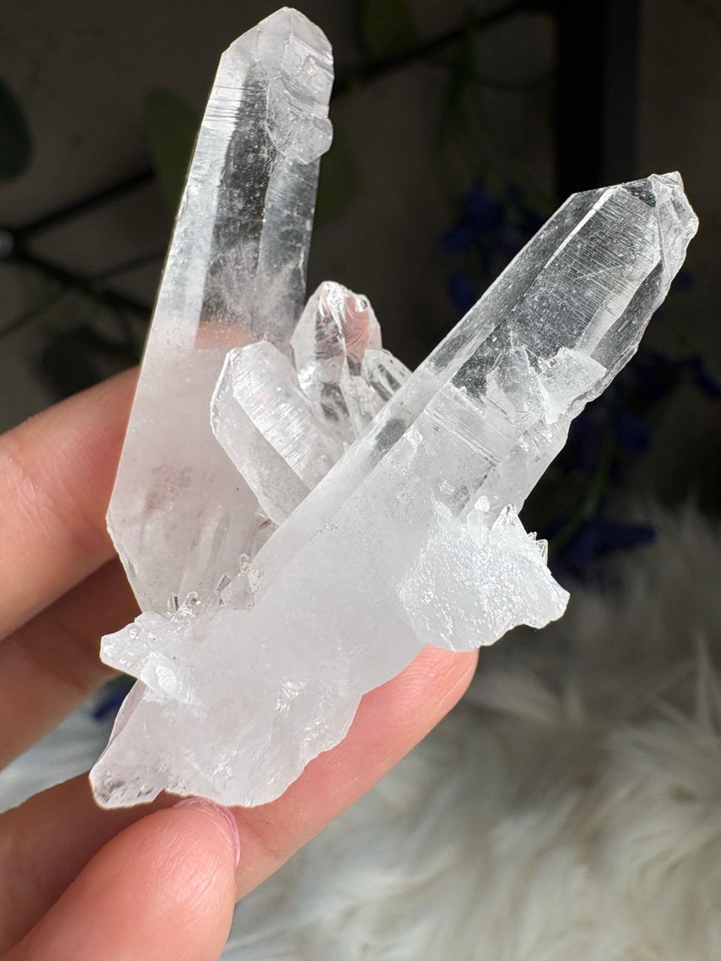 Minerali & Pietre curative: Kolumbianischer Lemurian-Quarz-Cluster – Nuovo (secondo la descrizione) da Neuheim venduto da m.hald 8