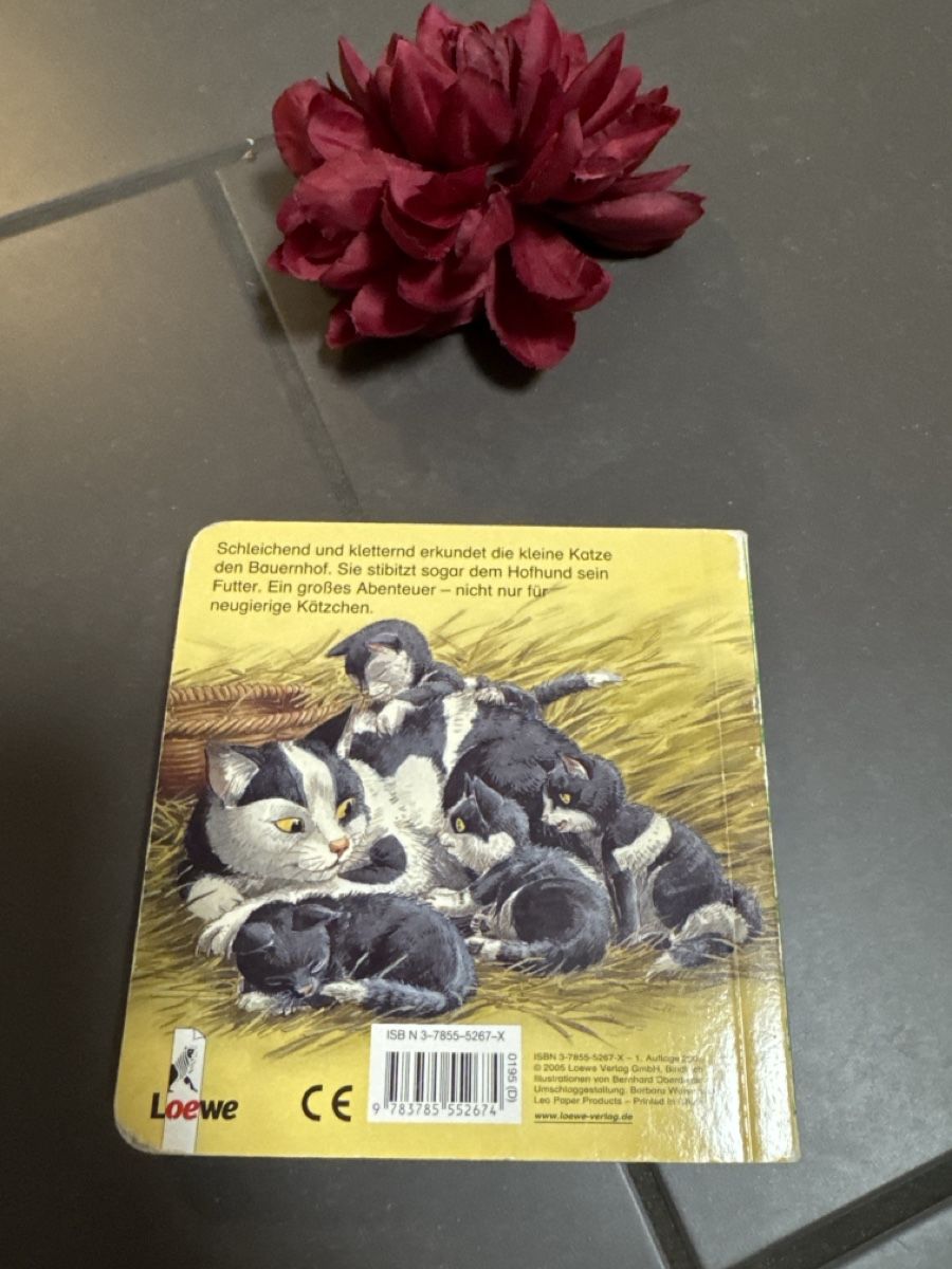 Libri: Was machst du, kleine Katze Kinderbuch – Usato da Zürich venduto da Belisimo 6