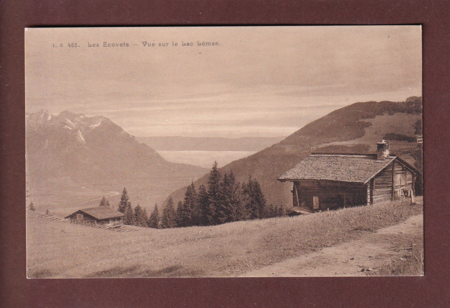 Cartoline postali: LES ECOVETS - Lac Léman – Usato da Pully venduto da nicecards