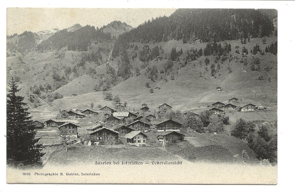 Saxeten bei Interlaken (BE) Dorfpartie mit Chalets - 1905 (Gebraucht ...