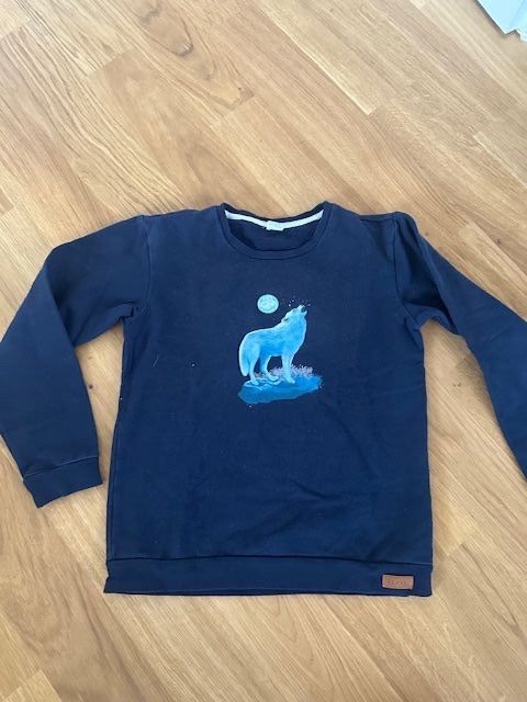 Maglioni & Felpe: Pulli Jungs Wallkiddy 148 – Usato da Hochdorf venduto da lefaho