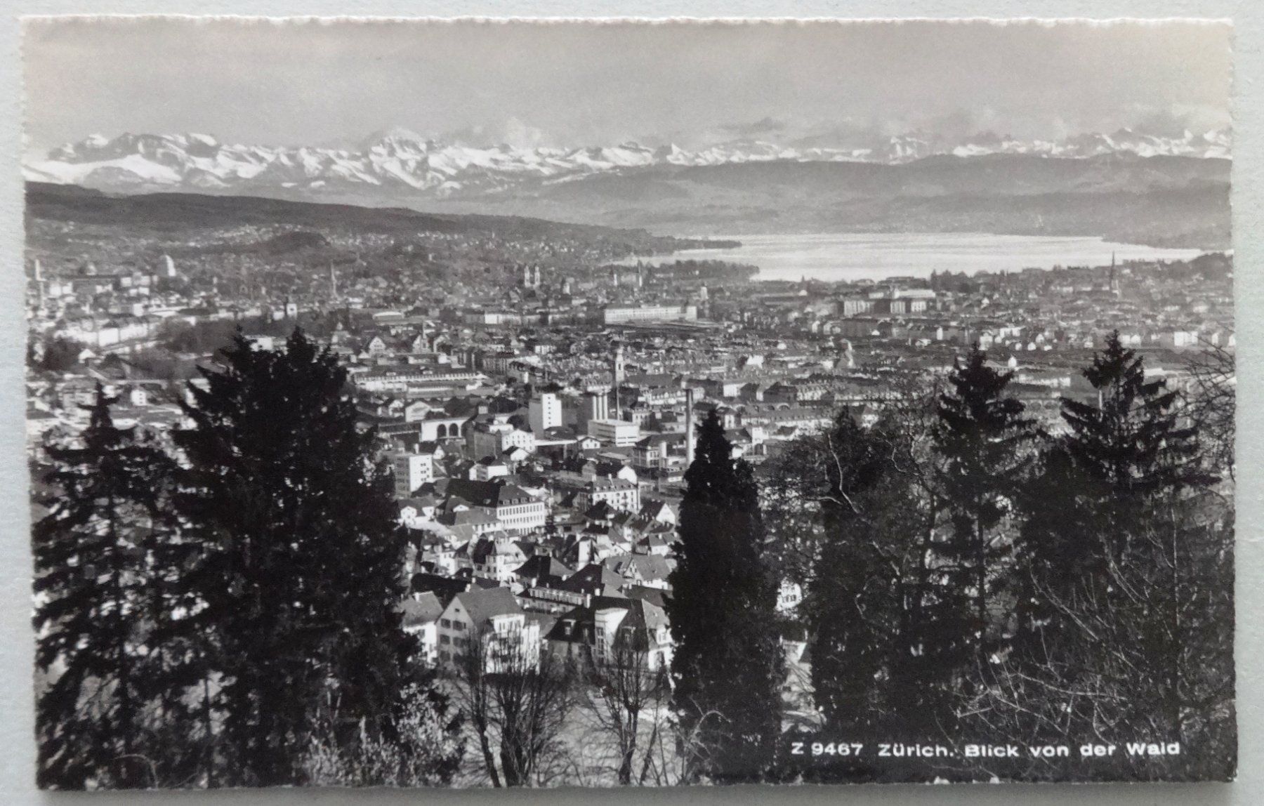Ansichtskarten: Zürich, Blick von der Waid – Gebraucht aus Fétigny von Billy2miny