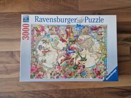 Puzzle 3000 Teile
