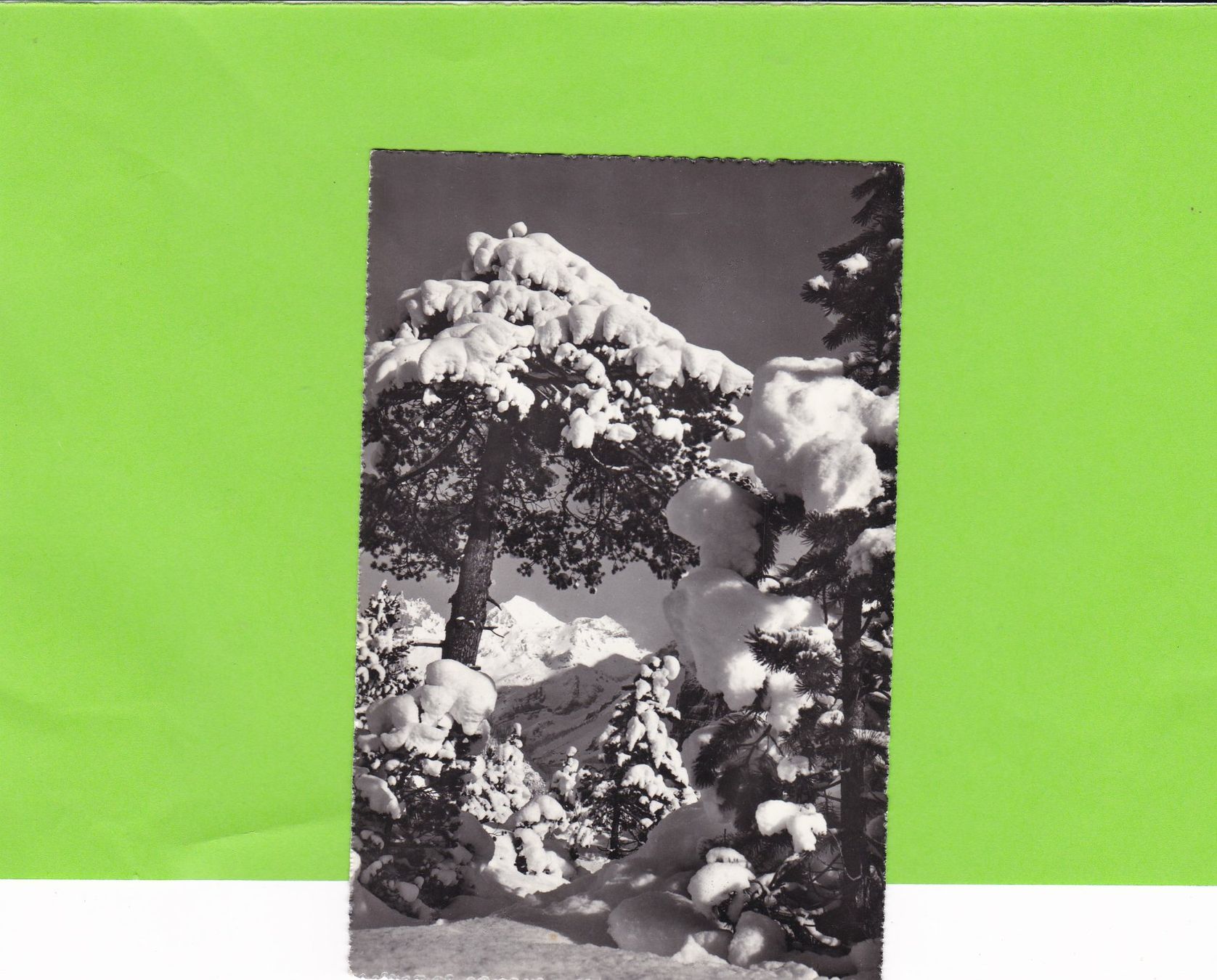 Cartoline postali: Winter in Kandersteg – Usato da St. Peterzell venduto da neckertal