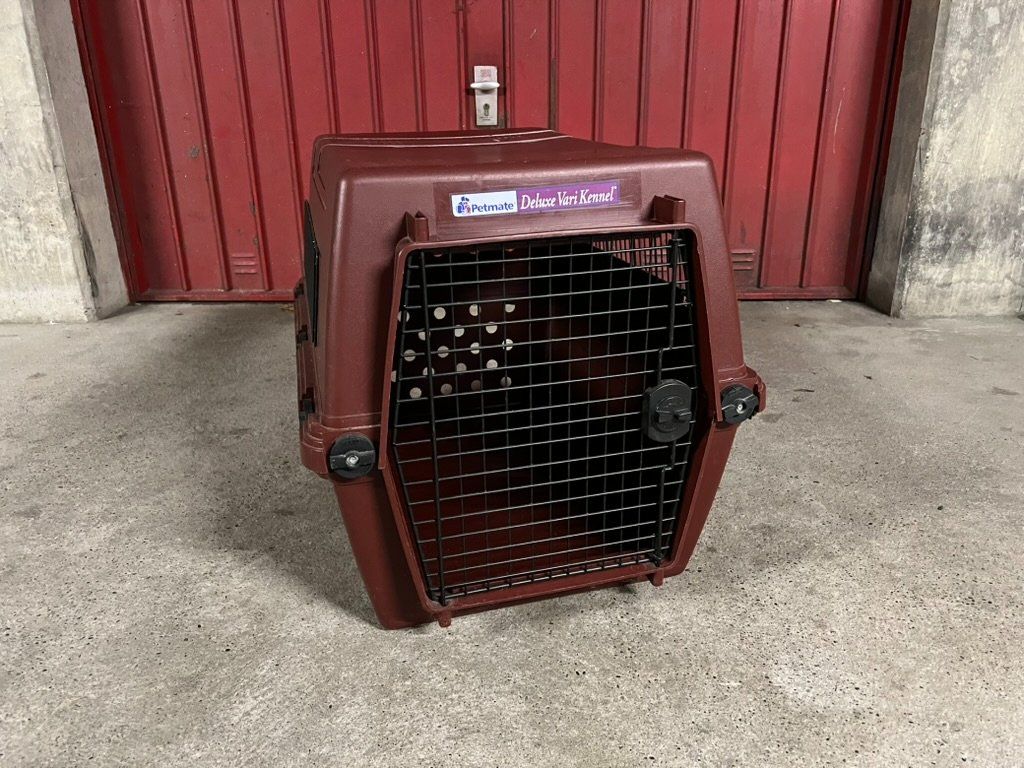 Gabbie, trasporto & Sicurezza: Petmate Deluxe Vari Kennel Tierbox Hundebox – Usato da Aarau venduto da Ozricmind 2