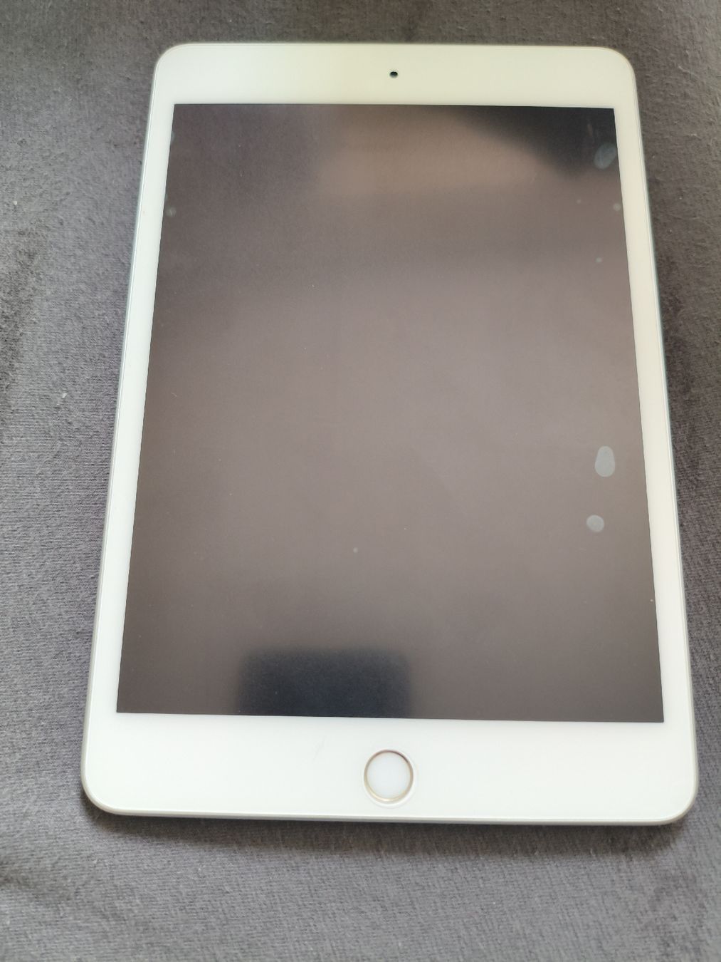 Apple Tablettes PC: Apple iPad mini 5th Gen 64GB Silver WiFi – D'occasion à Bern par Janick.Spielmann 3