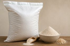 EU Bio Flohsamenschalen Pulver – 98 % Reinheit – 25 kg Sack