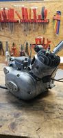 Sachs 502 Motor *frisch revidiert*
