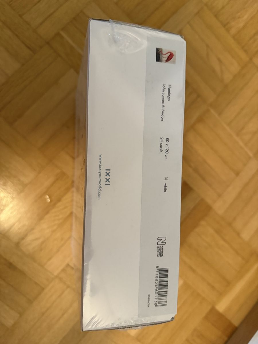 Foto & Immagini: IXXI Flamingo 80x120 cm – Nuovo e nell'imballaggio originale da Zürich venduto da vh.8038 2