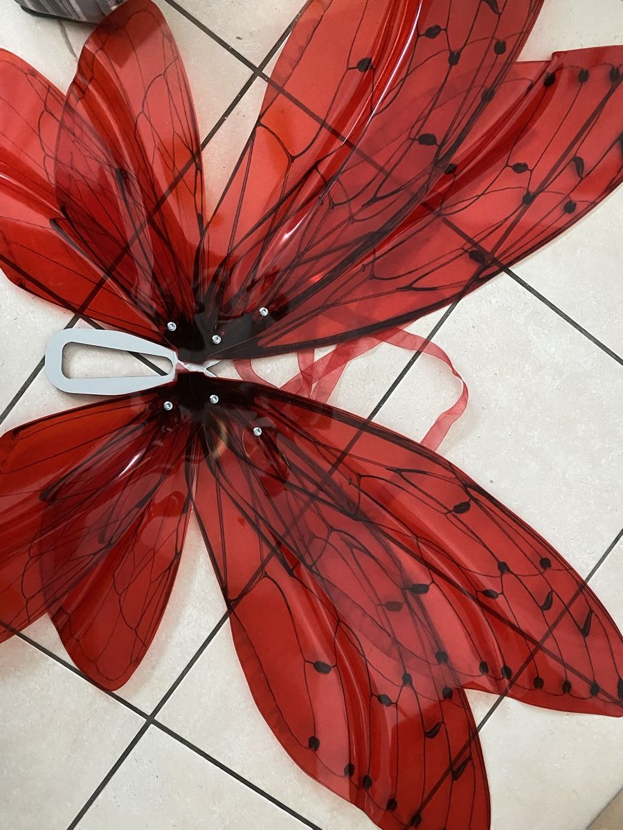 Kostüme: Shooting accessories / Cosplay / wings / Libellen Flügel – Gebraucht aus Olten von ale_nb2x 1