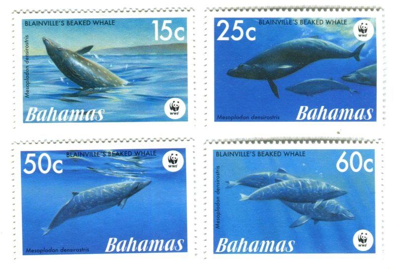 Tutti i francobolli: Briefmarken "Wale". Bahamas – Nuovo e nell'imballaggio originale da Basel venduto da Butsch5