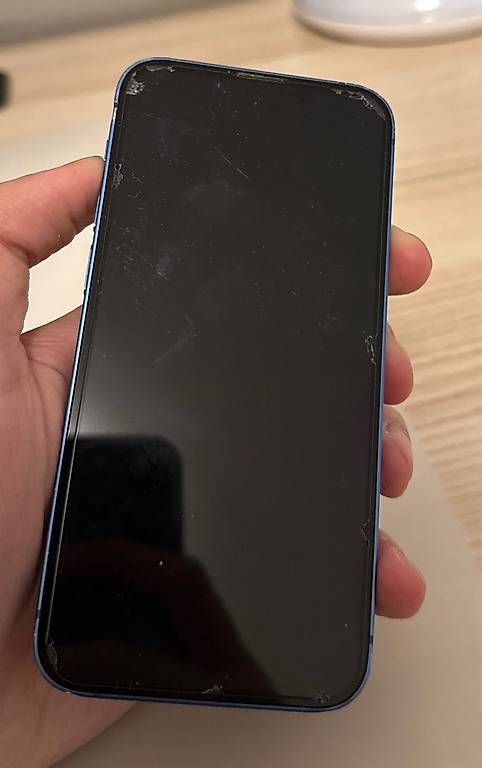 Apple Telefoni cellulari / Smartphones: iPhone 13 mini – Usato da Zürich venduto da Ber_7pzx 2