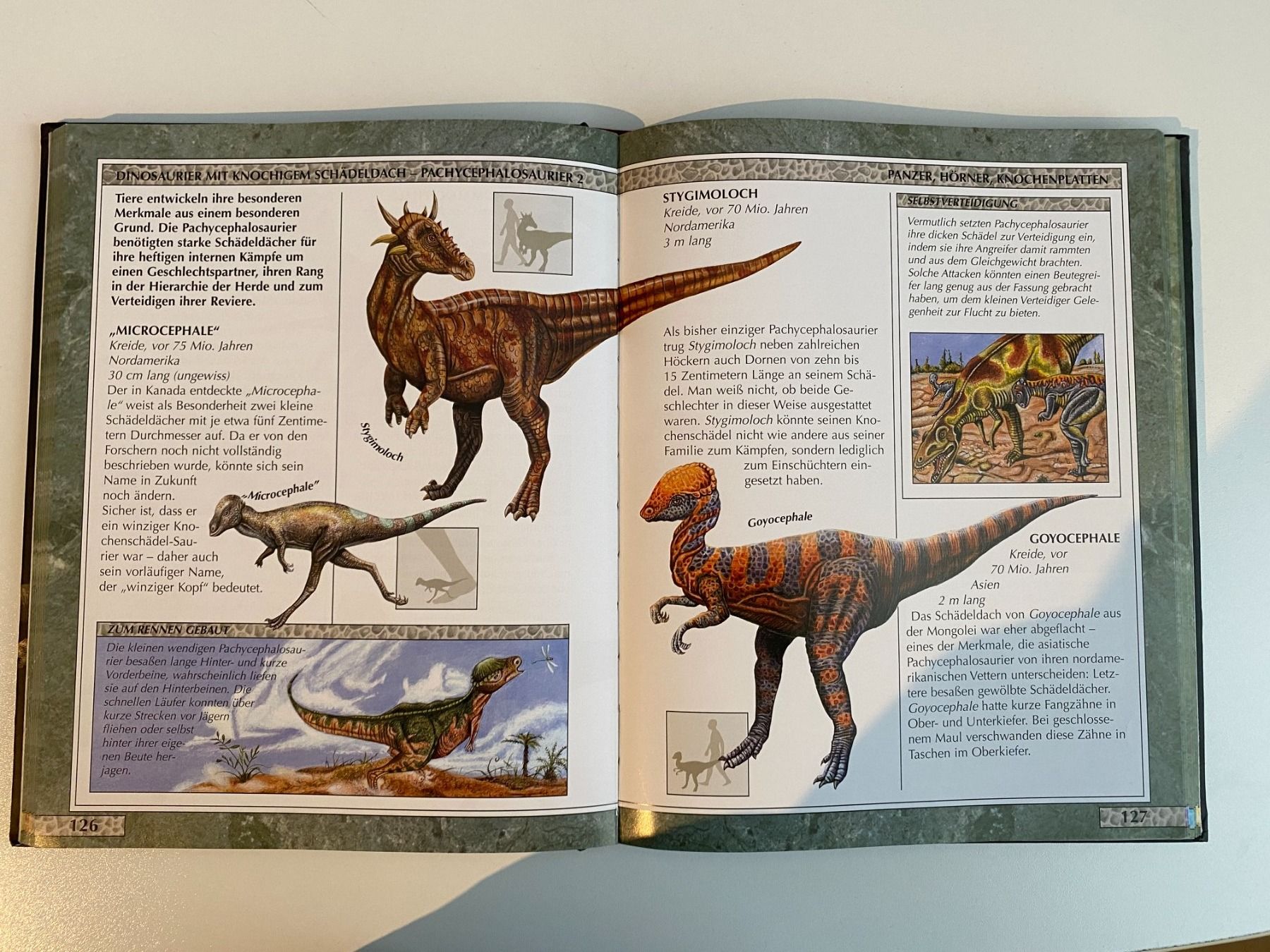 Libri: Das Reich der Dinosaurier – Usato da Freienbach venduto da LlIiNnUuSs 2