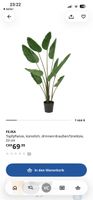 IKEA FEJKA (Strelitzie künstlich 23 cm)