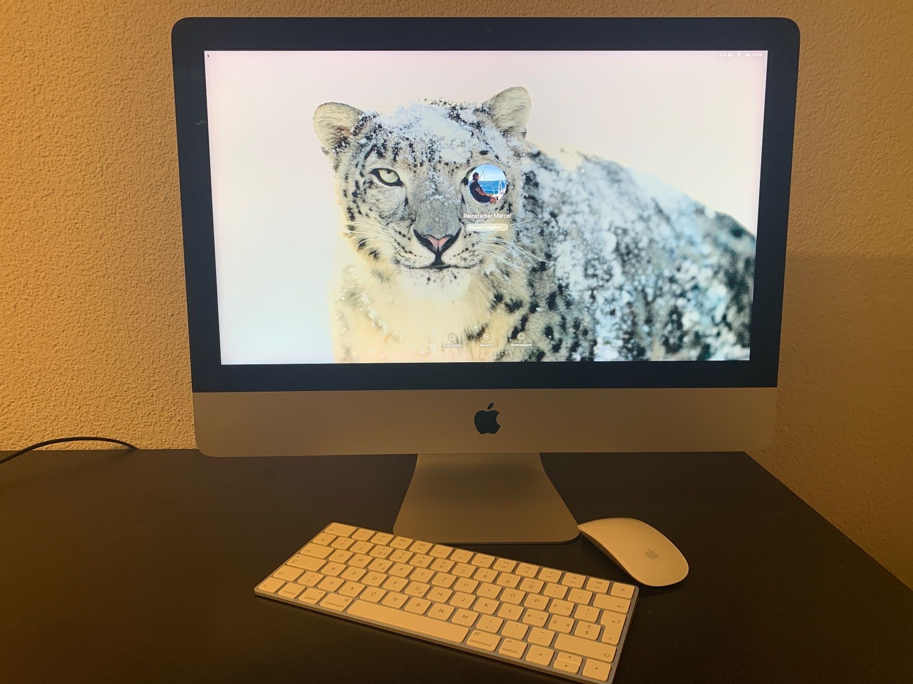 Apple PCs: Apple iMac 21.5" Retina 4K – Gebraucht aus Villigen von
