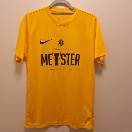 Nike BSC Young Boys Bern 2018 "Meister 12 Mal" edition