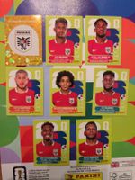 Panini Panama Set