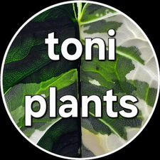 Profile image of Toniplants