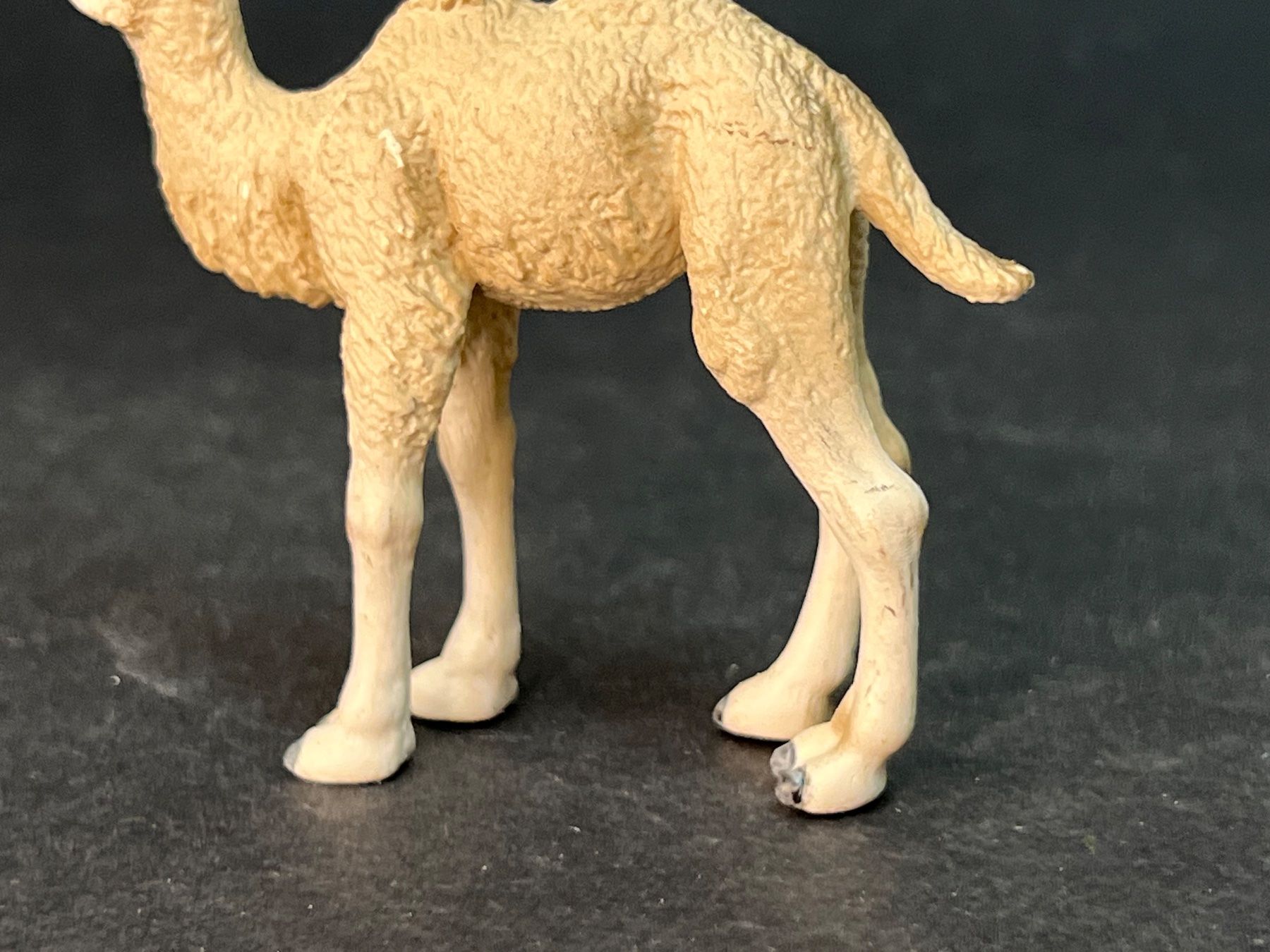 Schleich Statuette: Schleich 14602 Trampeltier Fohlen Kamel – Usato da Ennetbaden venduto da mapa05 5