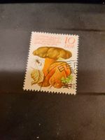 Timbre DDR 10 Pfennig - Boletus scaber - Rare🍄 automne !