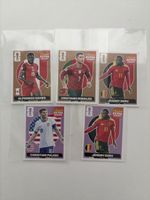 Panini Extra Sticker Ronaldo, Davies, Doku, Pulisic ab 1.-!