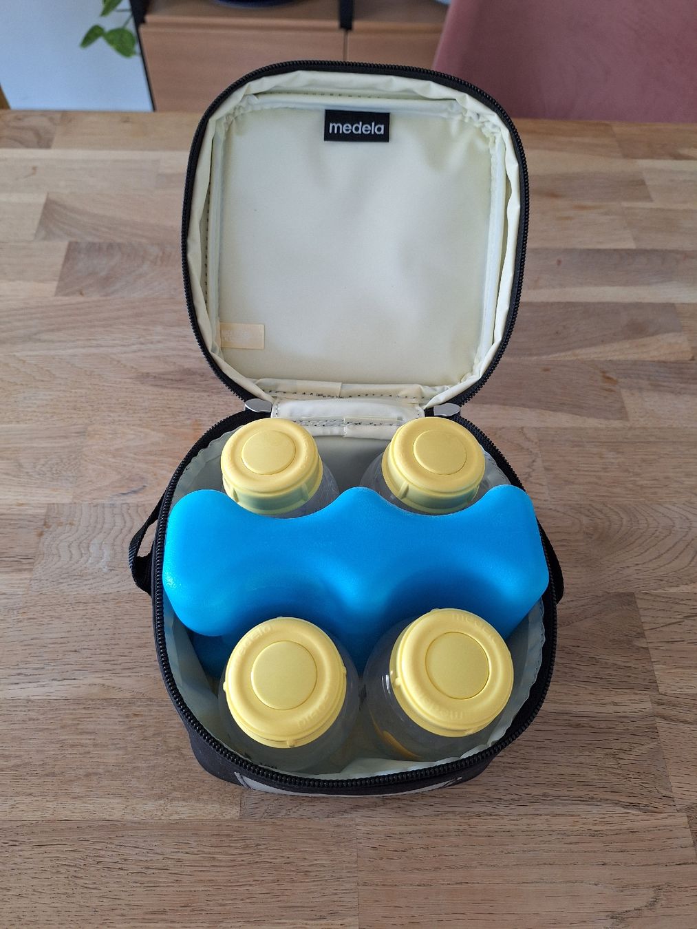 Medela Kühlschränke & Kühlen: Medela Muttermilch Kühltasche mit Behälter – Gebraucht aus Bad Zurzach von han_5znm