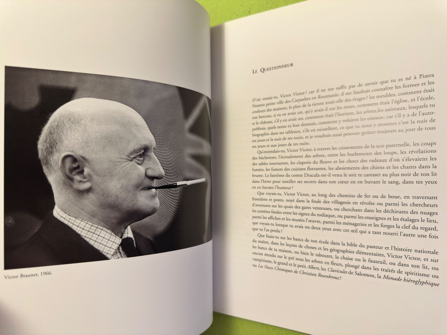 Libri: Michel Butor: Victor Brauner. – Usato da Zürich venduto da allp 3