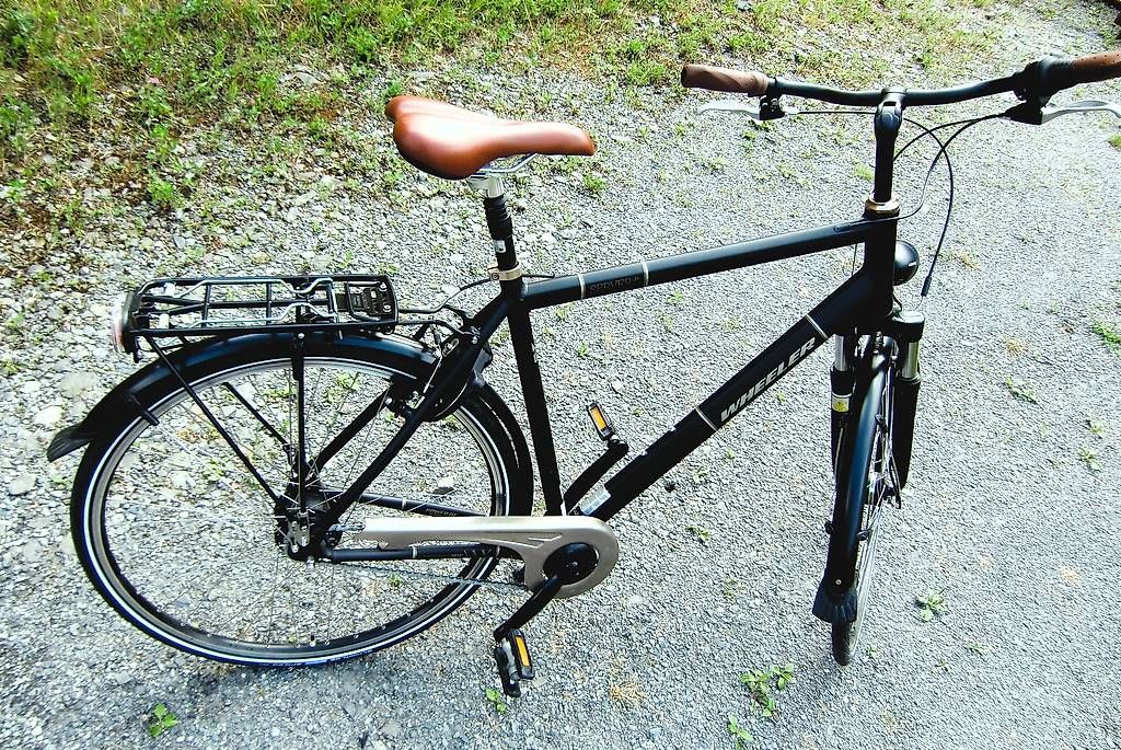 Biciclette: Citybike Herren Wheeler Server3.4 – Usato da Attinghausen venduto da trutti