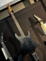 ESP USA M-II HT OG ASH SD BH Black Pegasus (inkl. Koffer)
