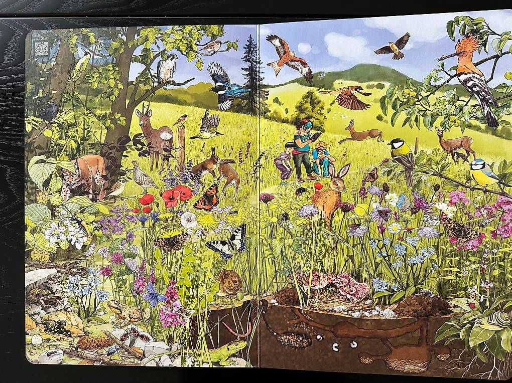 Libri: Wimmelbuch - Pro Natura – Usato da Zug venduto da roliro54 2
