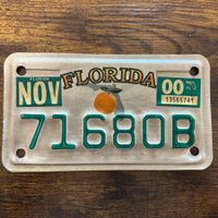 🇺🇸 U.S. Motorradnummer, Florida 71680B - (18x10cm)