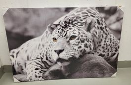 Wandbild Raubkatze (3-teilig) - 3x 40cm - NEU!!!