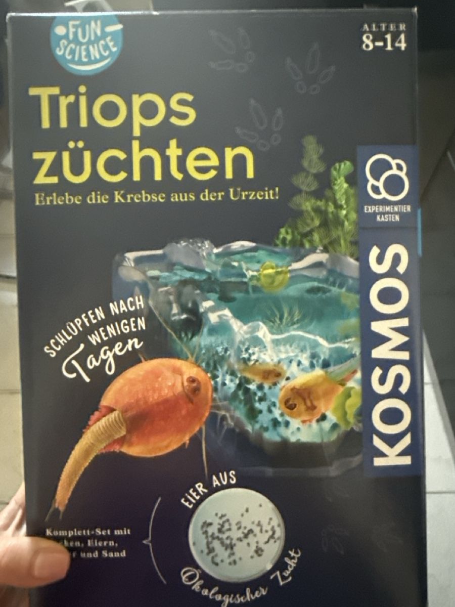 Baukästen: Experiment kasten für Kinder  – Neu (gemäss Beschreibung) aus Winkel von Olirickli05