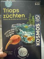 Experiment kasten für Kinder 